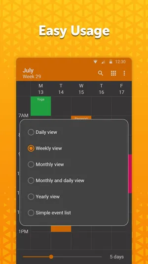 Simple Calendar Pro